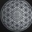Profile picture bpermaculture.bsky.social