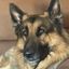 Profile picture minibubbly.bsky.social