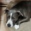 Profile picture jwacker1j.bsky.social