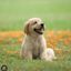 Profile picture sovanny3338.bsky.social