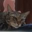 Profile picture ujb58.bsky.social