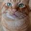 Profile picture hillhit.bsky.social