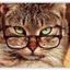 Profile picture djnoneya.bsky.social