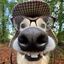 Profile picture mic3233.bsky.social