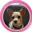 Profile picture debbiejz.bsky.social