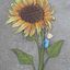 Profile picture davidzinn.bsky.social