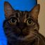Profile picture iansomething.bsky.social