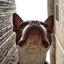 Profile picture brettbobculbert.bsky.social