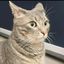 Profile picture amandamarcotte.bsky.social