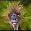 Profile picture budahsbaker.bsky.social