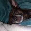 Profile picture beainmaine.bsky.social