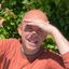 Profile picture stephentotilo.bsky.social