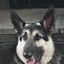 Profile picture gettysburg2024.bsky.social