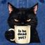 Profile picture radicalsenior52.bsky.social