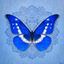 Profile picture morpho--helena.bsky.social