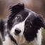 Profile picture jbird1848.bsky.social