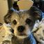 Profile picture litmit12.bsky.social