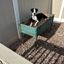 Profile picture logicaldog.bsky.social