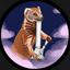 Profile picture geftokingmongoose.bsky.social
