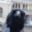 Profile picture breeze420.bsky.social