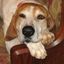 Profile picture tnhound01.bsky.social