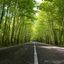 Profile picture open-road.bsky.social