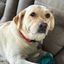Profile picture zeus238.bsky.social