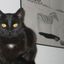 Profile picture kittymarlind.bsky.social
