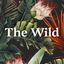 Profile picture thewild.news