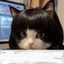 Profile picture dama2spirits.bsky.social