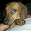 Profile picture koopy1.bsky.social