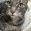 Profile picture miaganga.bsky.social