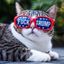 Profile picture mizanthrope01.bsky.social