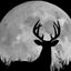 Profile picture moondeer66.bsky.social