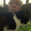 Profile picture pkrugman.bsky.social