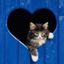 Profile picture kimf-m.bsky.social