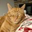 Profile picture amymski.bsky.social