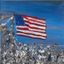 Profile picture davidpepperoh.bsky.social