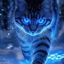 Profile picture dorotheevplessis.bsky.social