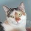 Profile picture auntyleilani.bsky.social