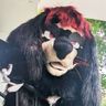 Murrsuit Photos