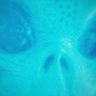 UFO•BLUE 👾