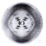 Biotechfeed