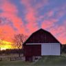 Punny Farm