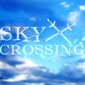 ⚔SKY×CROSSING🎨