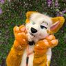 Ravyn's Fursuit