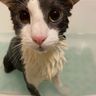 soggy :p