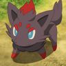 Zorua