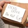 Dead Dove Content