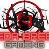 Seda Brees Gaming